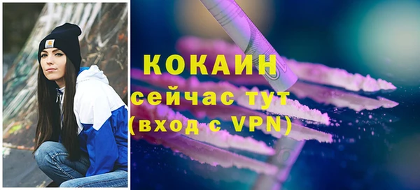 тгк Дмитров