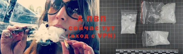 тгк Дмитров