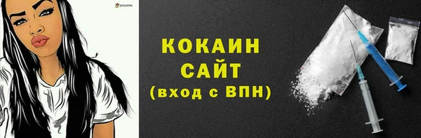 тгк Дмитров