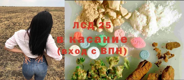 тгк Дмитров