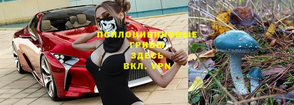 первитин Дмитровск