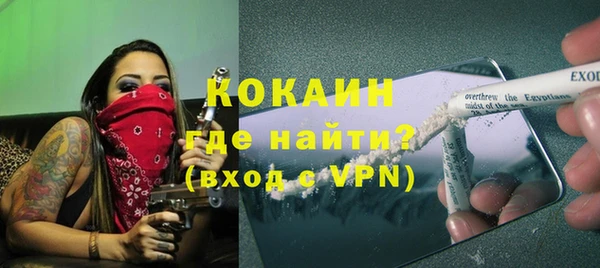 тгк Дмитров