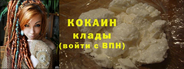 тгк Дмитров