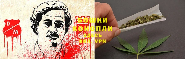 apvp Гусь-Хрустальный