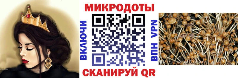 даркнет сайт Шебекино Псилоцибиновые грибы Psilocybine cubensis