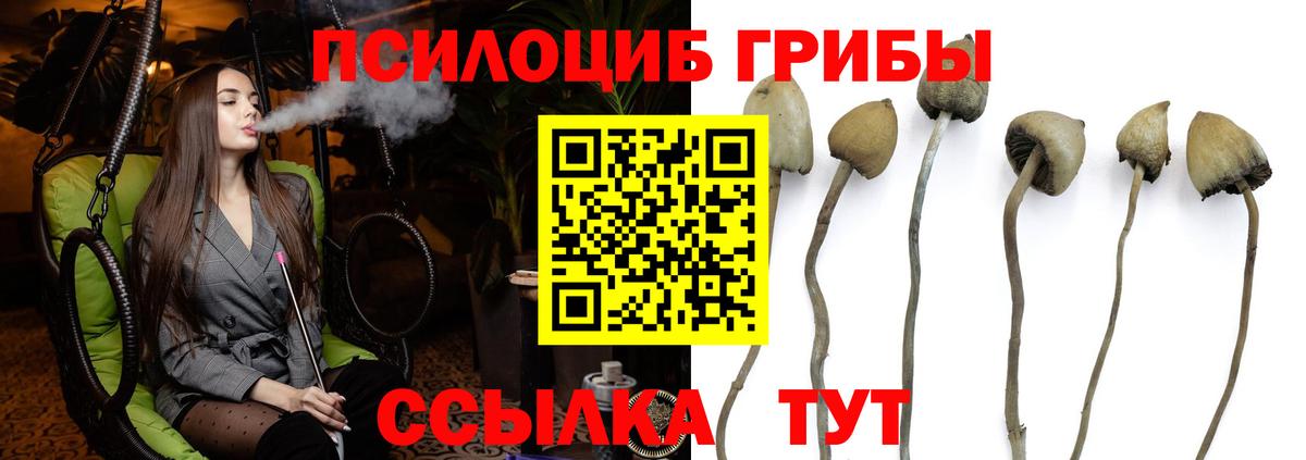 Псилоцибиновые грибы мухоморы  Вход с VPN  Шебекино 