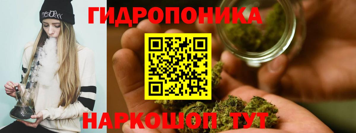 Шебекино  Канабис планчик  Вход с VPN  Каннабис AK-47  Бошки марихуана план 